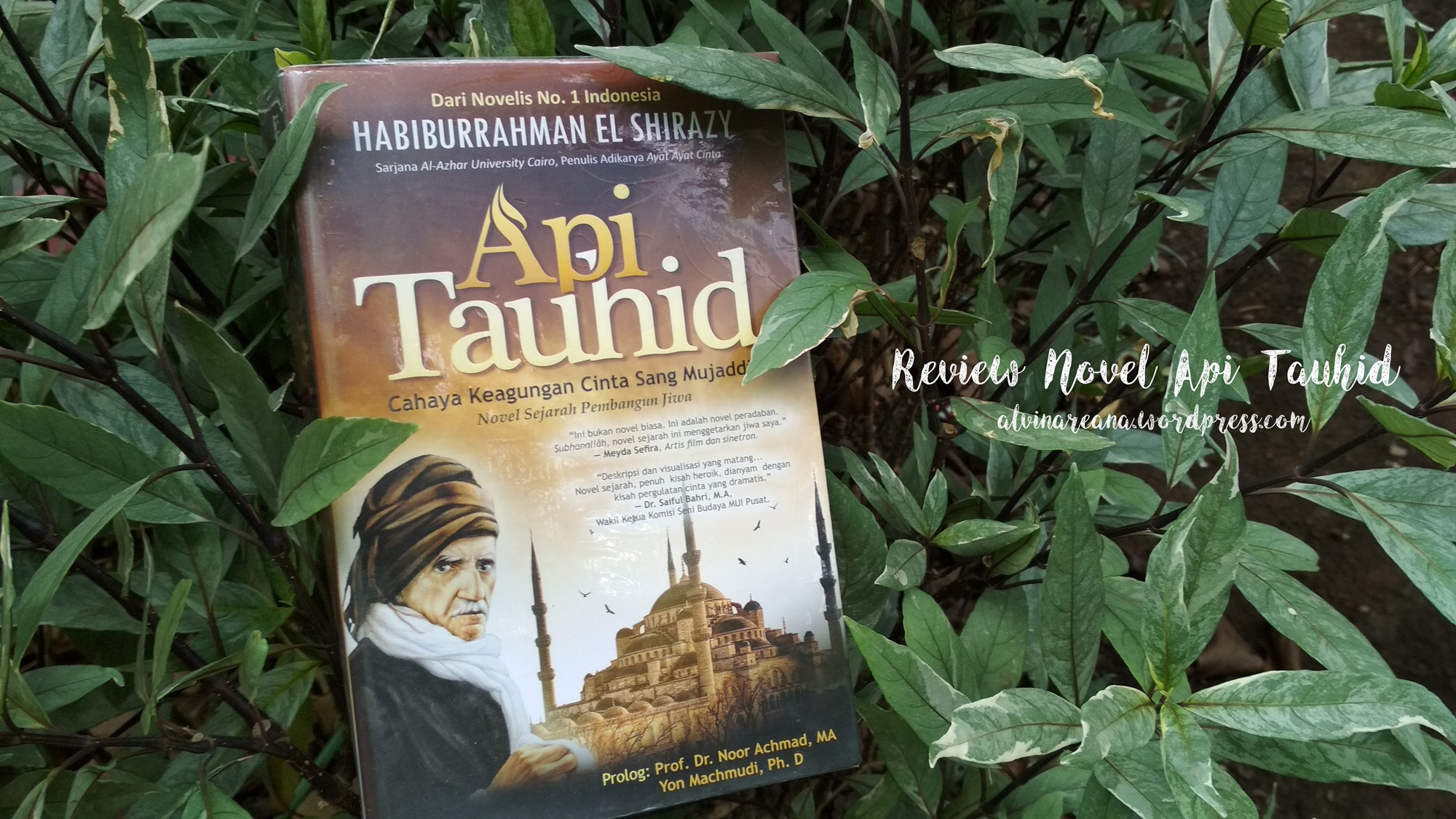 Review Buku : Api Tauhid – alvinareana